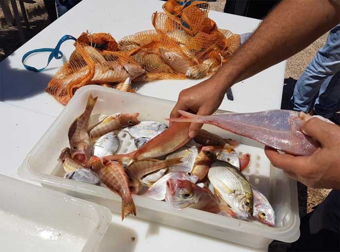 PESCA RCNT